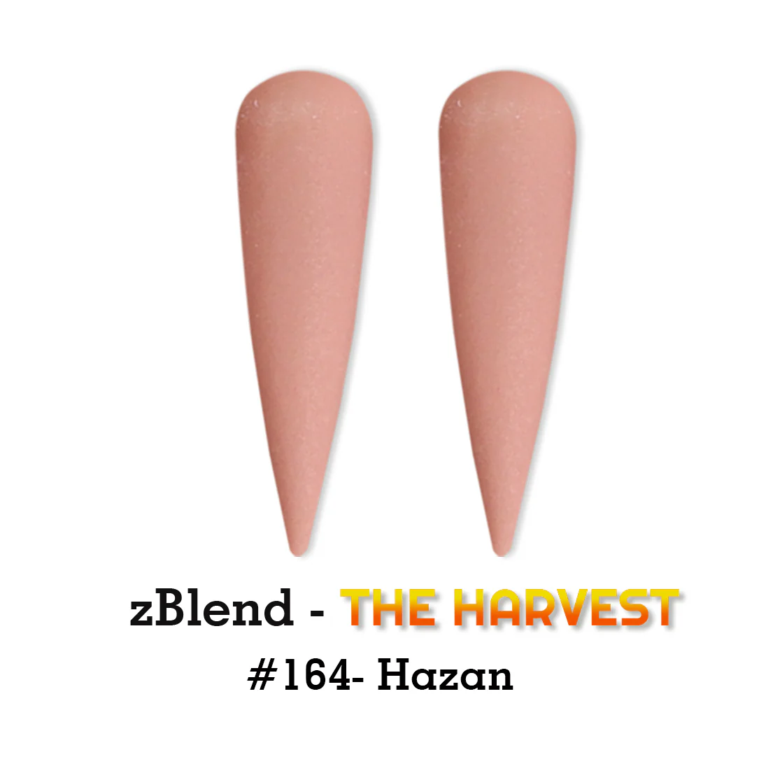 Powder zBlend - #164 Hazan - WS